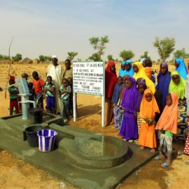80 pump wells in Niger within the month of December