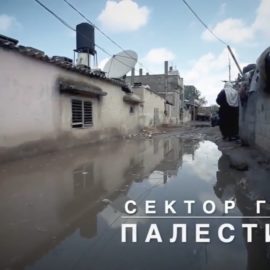 Palestine: The Call for Help from the Gaza Strip