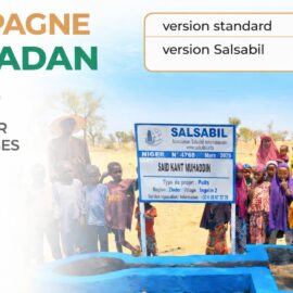 Puits pour 200 villages au Niger