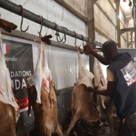Раздача мяса нуждающимся — Акика в Судане